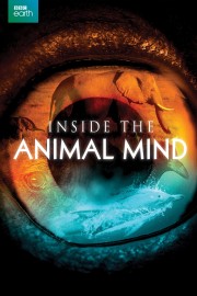 Watch Free Inside the Animal Mind Movies Full HD Soaper TV