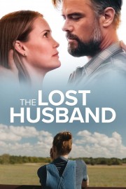 Watch Free The Lost Husband Movies Full HD Soaper TV