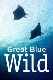 Watch Free Great Blue Wild Movies Full HD Soaper TV