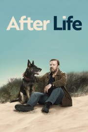 Watch Free After Life Movies Full HD Soaper TV