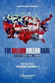 Watch Free The Billion Dollar Goal Movies Full HD Soaper TV