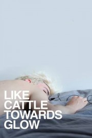 Watch Free Like Cattle Towards Glow Movies Full HD Soaper TV