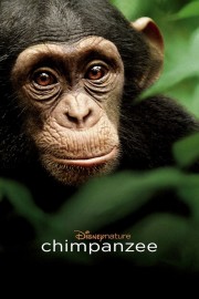 Watch Free Chimpanzee Movies Full HD Soaper TV