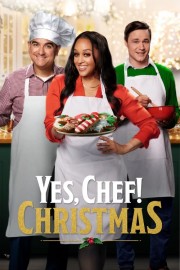 Watch Free Yes, Chef! Christmas Movies Full HD Soaper TV