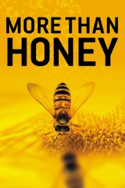 Watch Free More Than Honey Movies Full HD Soaper TV