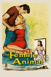 Watch Free The Female Animal Movies Full HD Soaper TV