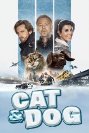 Watch Free Cat and Dog Movies Full HD Soaper TV