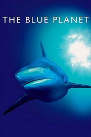 Watch Free The Blue Planet Movies Full HD Soaper TV