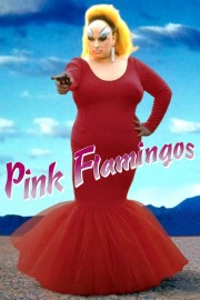 Watch Free Pink Flamingos Movies Full HD Soaper TV