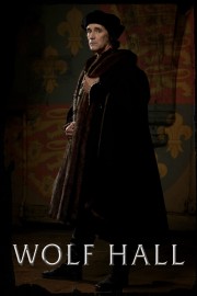 Watch Free Wolf Hall Movies Full HD Soaper TV