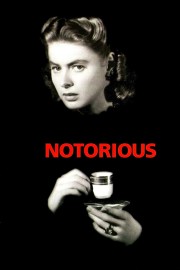 Watch Free Notorious Movies Full HD Soaper TV