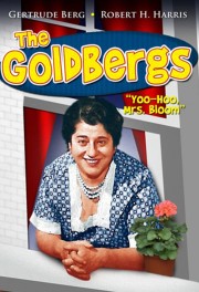 Watch Free The Goldbergs Movies Full HD Soaper TV