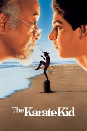 Watch Free The Karate Kid Movies Full HD Soaper TV