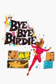 Watch Free Bye Bye Birdie Movies Full HD Soaper TV