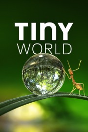 Watch Free Tiny World Movies Full HD Soaper TV