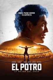 Watch Free El Potro: Lo mejor del amor Movies Full HD Soaper TV