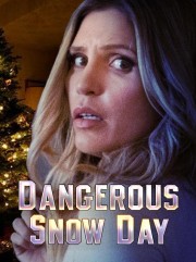 Watch Free Dangerous Snow Day Movies Full HD Soaper TV