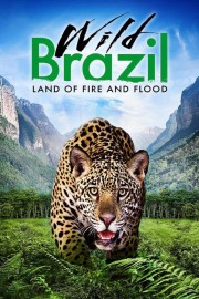 Watch Free Wild Brazil Movies Full HD Soaper TV