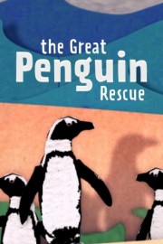 Watch Free The Great Penguin Rescue Movies Full HD Soaper TV