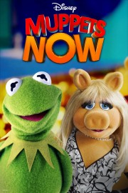 Watch Free Muppets Now Movies Full HD Soaper TV