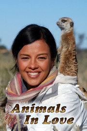 Watch Free Animals in Love Movies Full HD Soaper TV