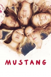 Watch Free Mustang Movies Full HD Soaper TV