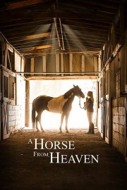 Watch Free A Horse from Heaven Movies Full HD Soaper TV