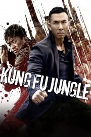 Watch Free Kung Fu Jungle Movies Full HD Soaper TV