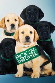 Watch Free Pick of the Litter Movies Full HD Soaper TV